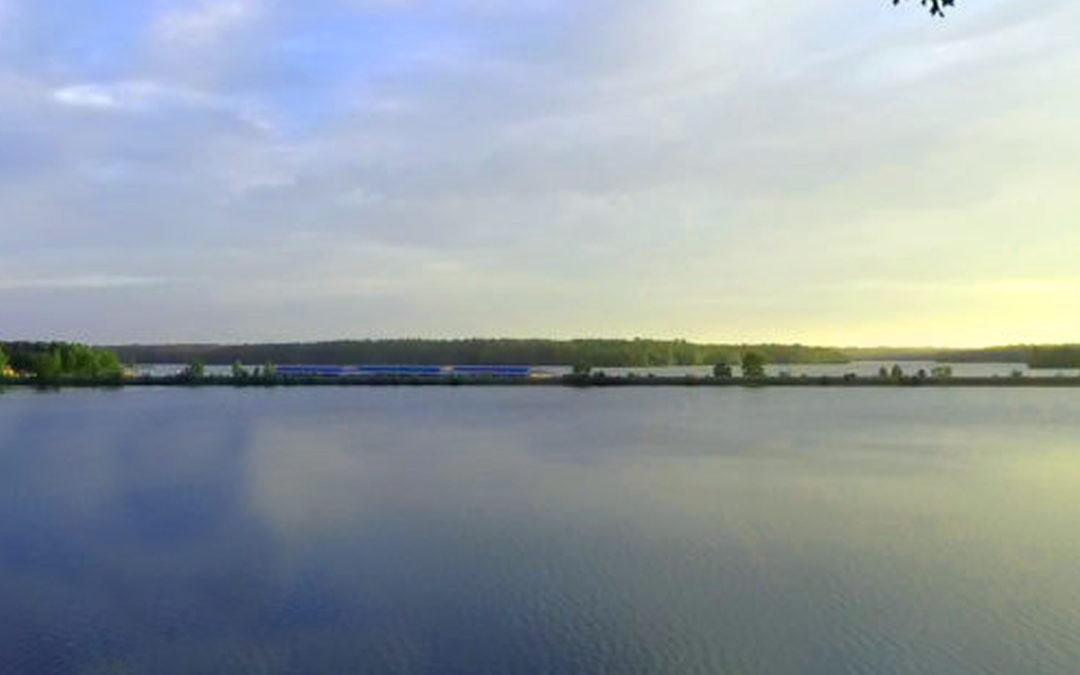 Lake Anna Real Estate Sneak Peek: Coming to the Market Soon!